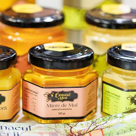 Conacul Mierii Βίλα Straseni Εξωτερικό φωτογραφία