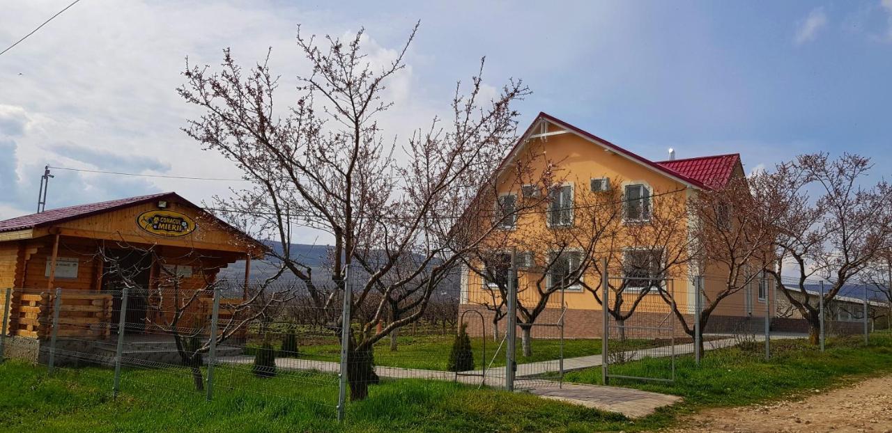 Conacul Mierii Βίλα Straseni Εξωτερικό φωτογραφία