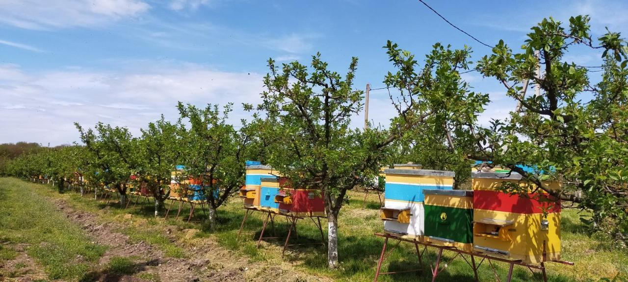 Conacul Mierii Βίλα Straseni Εξωτερικό φωτογραφία